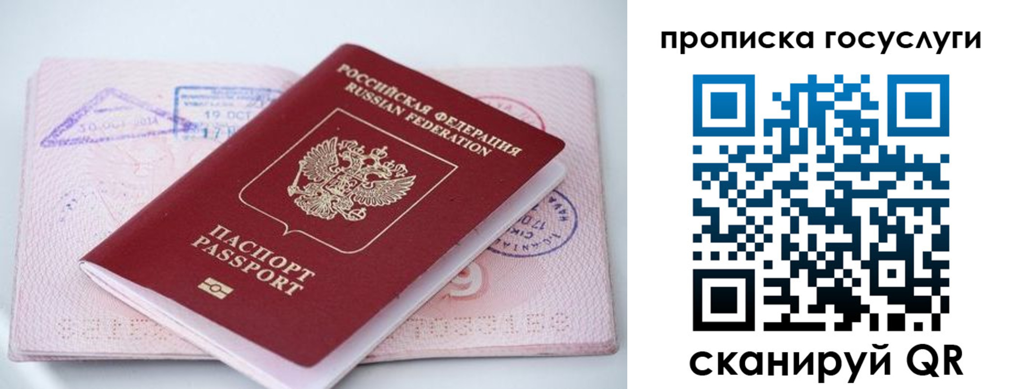 прописка законно в Петухово